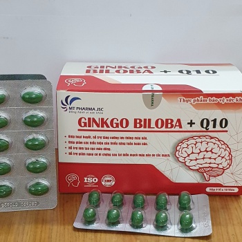 GINKGO BILOBA + Q10 9 vỉ